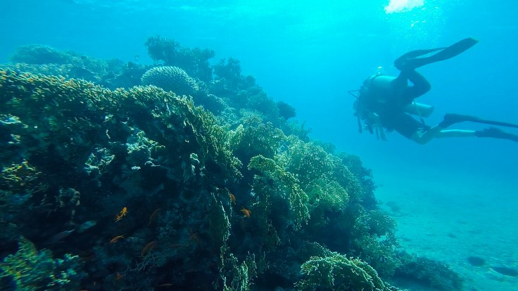 GPTempDownload (12).jpg